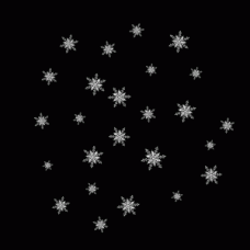 Snowflake Flurry